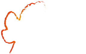 Logo du domaine cante vigne